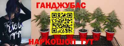 mdpv Комсомольск-на-Амуре