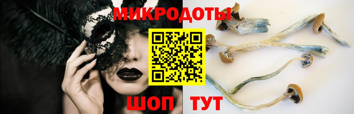 Галлюциногенные грибы мухоморы Каспийск